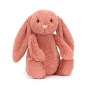 Sorrel+Jellycat+Bunny